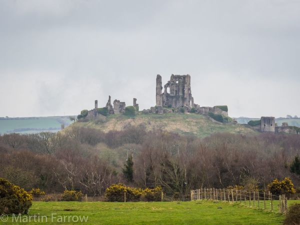 Corfe castle and Dorset countryside